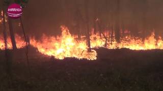 BairradaTV  Ambientes Incêndio em Barrô  Luso Mealhada [upl. by Terzas]