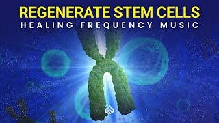 Stem Cell Regeneration Frequency Heal Your Telomeres Healing Frequency [upl. by Levon674]