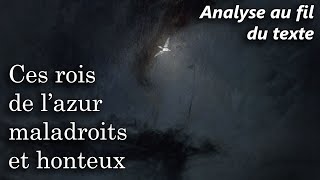 BAUDELAIRE 🔎 Les Fleurs du Mal  LAlbatros Analyse au fil du texte du poème [upl. by Grosvenor]