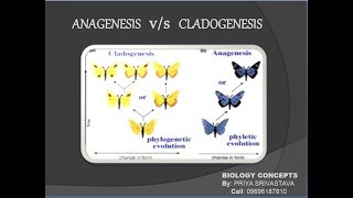 Anagenesis vs Cladogenesisquot BIOLOGY CONCEPTS quot where biology meets technology [upl. by Stephanus]