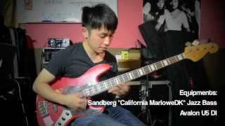 Sandberg quotCalifornia MarloweDKquot Bass Demo [upl. by Teahan]