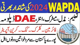 WAPDA Jobs 2024  LESCO Jobs 2024  Retired Army Person Jobs 2024  New Jobs 2024 in Pakistan Today [upl. by Aicemaj]