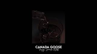 canada goose  tayz junior nrb slowed  reverb [upl. by Ealasaid942]