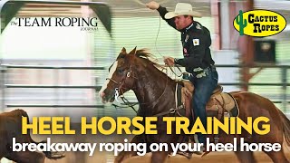 Rope Horse Training  Breakaway Roping on Your Heel Horse [upl. by Refinnaj]