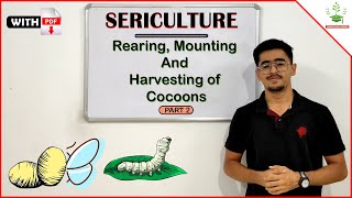 Rearing Mounting And Harvesting of Silkworm Cocoons PART 2 sericulture [upl. by Fernandes]