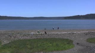 Hoodsport WA  Hood Canal [upl. by Reisman]