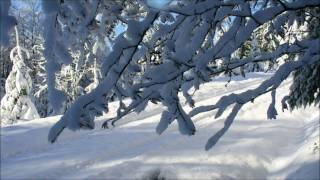 les hautes vosges sous la neige 2010 [upl. by Orvil735]