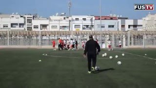 Vidéo  Les taureaux dans une ambiance bonneenfant [upl. by Aniela]