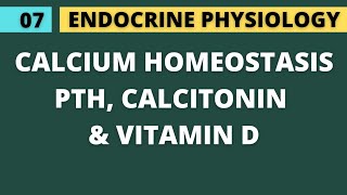 07 CALCIUM HOMEOSTASIS  PARATHYROID HORMONE CALCITONIN VITAMIN D  ENDOCRINE PHYSIOLOGY [upl. by Aniral]