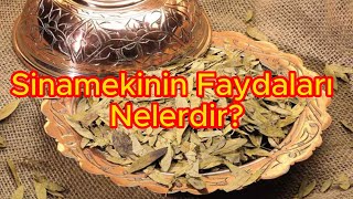 Sinamekinin Faydaları Nelerdir [upl. by Seavey]