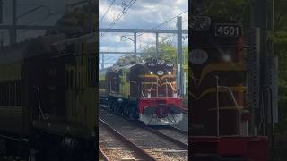 4501 passing Erskinville train railway sydneytrains trainspotting [upl. by Halimaj]