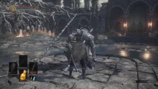 Dark Souls 3 Cemetery of Ash Speedrun [upl. by Gianni]