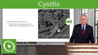 Cystitis Definition Causes and Epidemiology – Infectious Diseases  Lecturio [upl. by Iliak]