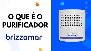 🔬 O QUE É O PURIFICADOR DE AR BRIZZAMAR 🔬 [upl. by Buehrer]