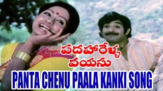 Padaharella Vayasu Songs  Panta Chenu Paala kanki navvindi  Sridevi Chandra Mohan [upl. by Anez]