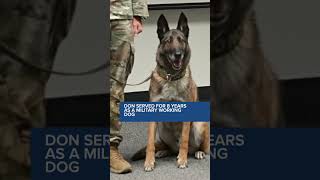 Don the Military Working Dog retires and receives a medal at Edwards Air Force Base [upl. by Otsuj915]