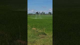 Insecticide spraying agriculturedrone farming drone djidrone dji t40 [upl. by Vinn]