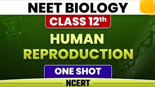 Human Reproduction One Shot last min Revisiononeshot board class12th viral cbse viralvideos [upl. by Hanschen732]