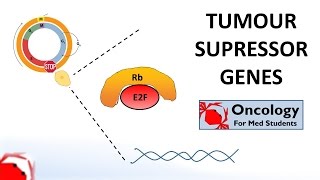 Types of oncogene [upl. by Esaertal]