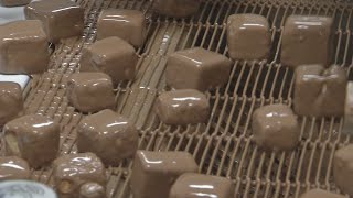 Behind the scenes at Platters Chocolate Factory for National Sponge Candy day [upl. by Ashil209]