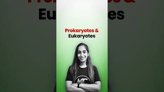 Prokaryotes amp Eukaryotes [upl. by Quenna]