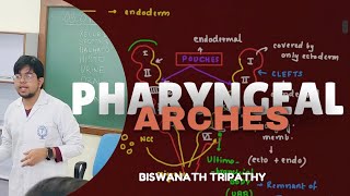 PHARYNGEAL ARCHES  EMBRYOLOGY  MBBS ANATOMY  Biswanath Tripathy [upl. by Autrey]