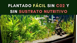 PLANTADO FÁCIL SIN CO2 NI SUSTRATO NUTRITIVO [upl. by Kciredorb]