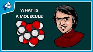 What Is a Molecule [upl. by Cloe292]