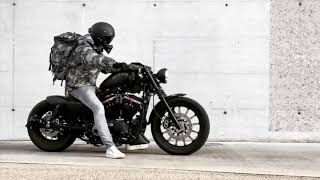 Sportster Iron 883 Brutal Sound [upl. by Etteuqaj]