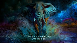 ELEFANTE 2023 Live Session Show completo [upl. by Glogau]