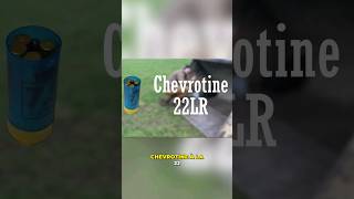 De la chevrotine avec de la 22lr [upl. by Aksel]