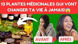 Découvrez les Pouvoirs des 13 Plantes Médicinales les Plus Efficaces [upl. by Mairem148]