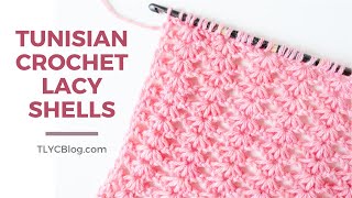 Pretty Crochet Learn the Tunisian Crochet Lacy Shells Stitch VIDEO TUTORIAL  EASY PATTERN [upl. by Asena]