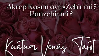 Akrep burcu Kasım ayı•Zehir mi Panzehir mi akrep akrepburcu kasımayı keşfetbeniöneçıkar asmr [upl. by Claudy]