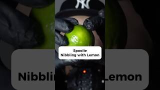 asmr Do you like Spoolie Nibbling [upl. by Dieball]