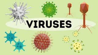 What is a virus An Introduction [upl. by Angela]