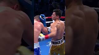 Ryan Garcia vs Luke Campbell [upl. by Artinak365]