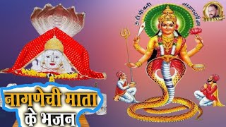 Nadi Re Kinare Tharo Dham  नदि रे किनारे थारो थारो धाम  rajsthani bhajan  Nagnechi Mata ji [upl. by Nnad]