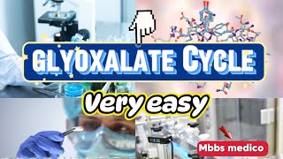 Glyoxylate cycle [upl. by Smalley]