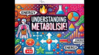 Understanding Metabolism The Key to Energy and HealthDetails about metabolism [upl. by Dalpe]