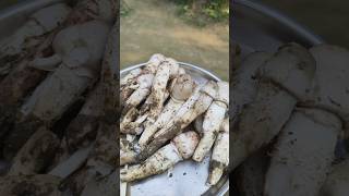 Mushroom 🍄 ঘরের ভিটেতে মাশরুম ফুটেছেshortvideo [upl. by Mickelson]