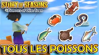 TOUS LES POISSON  🐟  Story of Seasons  Pioneers of Olive Town [upl. by Cutcheon]