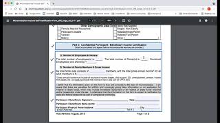 HOW TO complete the income selfcertification form updated [upl. by Hcahsem]