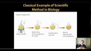 Classic Biology Example of Scientific Process Spontaneous Generation vs Biogenesis [upl. by Ewald67]