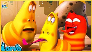 LARVA SEASON 3 EPISODE 70  CARTOON MOVIE TOP 50 EPISODE  CARTOON FOR KID 2024 [upl. by Danny447]