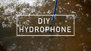 DIY Hydrophone [upl. by Turtle887]