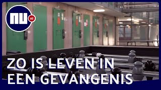 Leven in een gevangenis Douchen op verzoek en verplicht werken NU nl [upl. by Eiznekam]