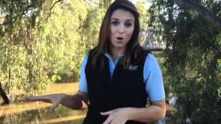 OnLocation Blog  Flooding in Wagga Wagga  Part 2 [upl. by Esenahs]