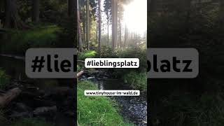 Lieblingsplatz urlaubmithund [upl. by Apfel]