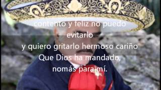 Hermoso cariño Vicente Fernandez con letra [upl. by Jolda]